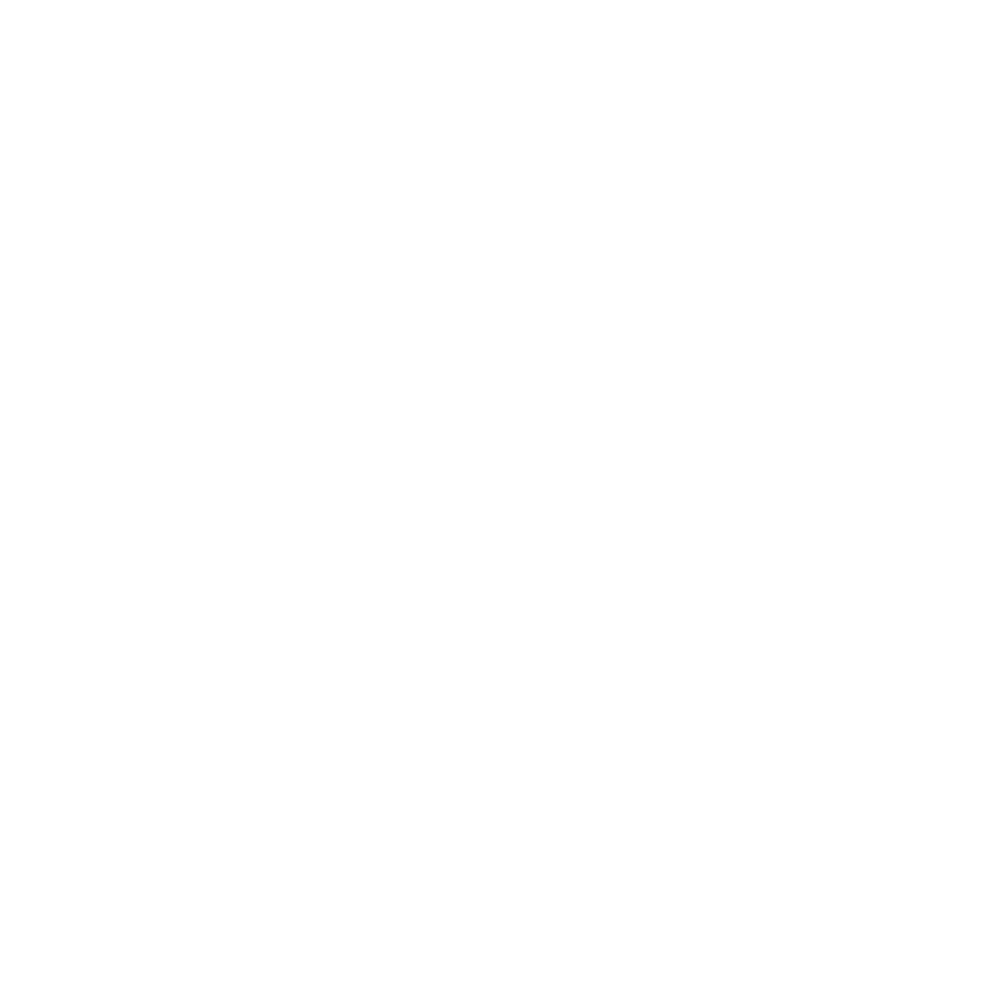 IC logo blanc