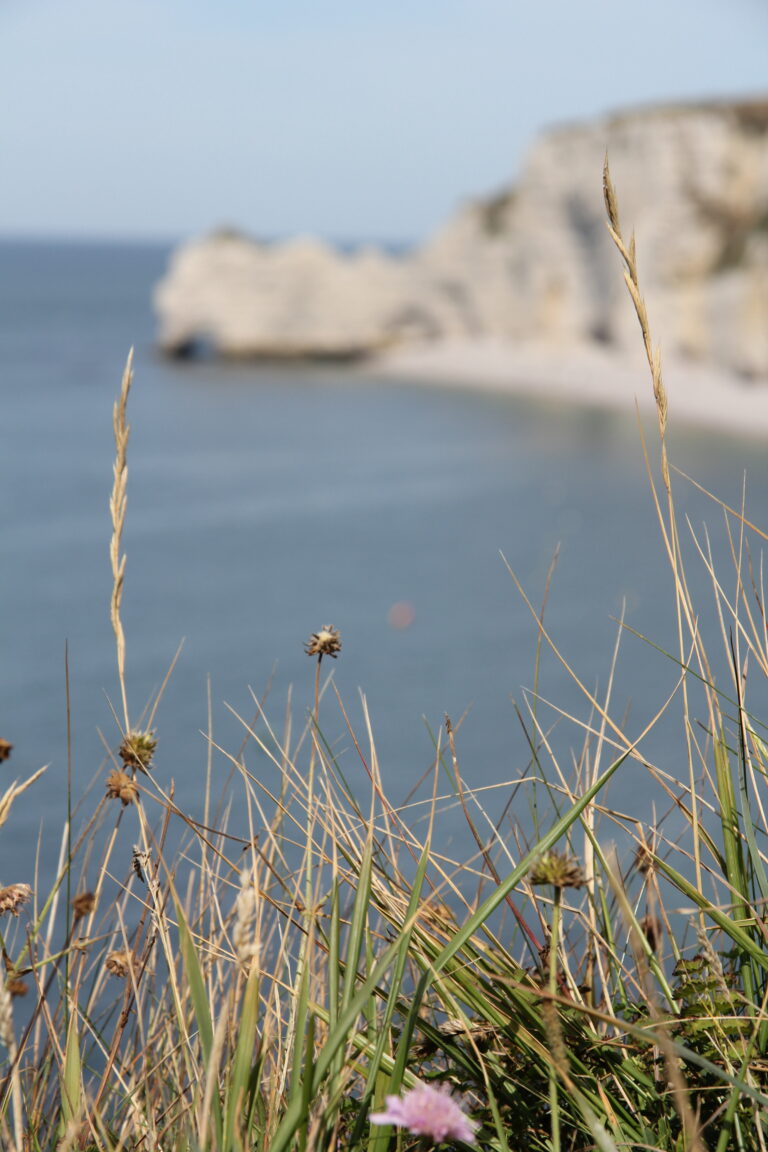 Paysage en bord de mer